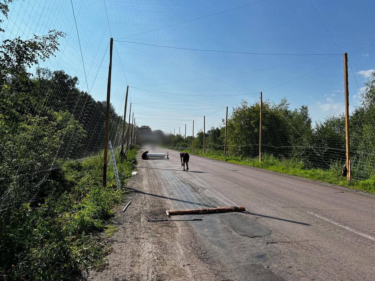 На Сумщине над дорогами строят “антидроновые тоннели”. Генштаб показал процесс  – фото